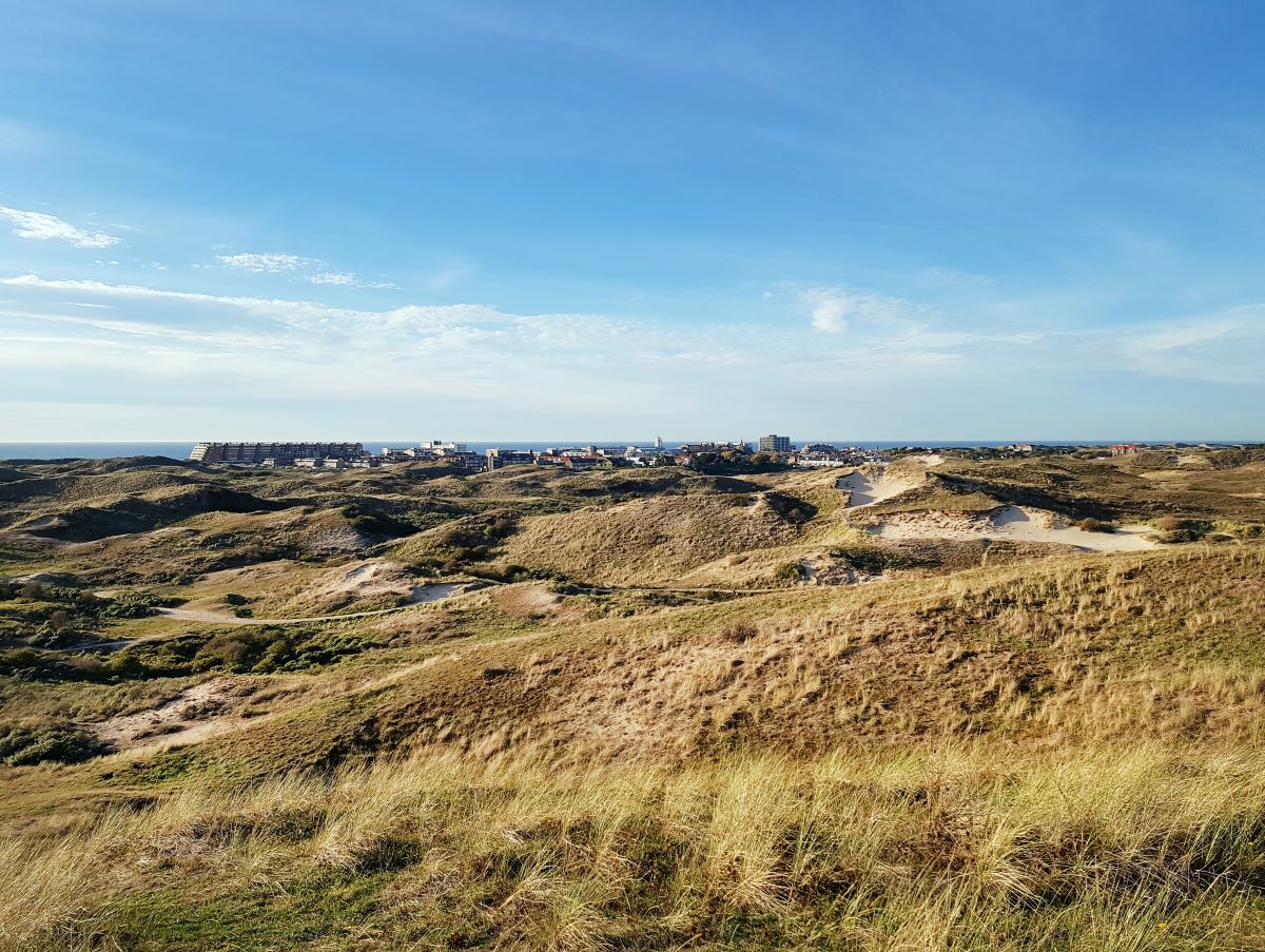 Egmond aan zee duinen